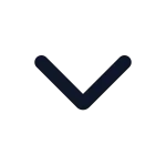 Chevron Down SVG Icon
